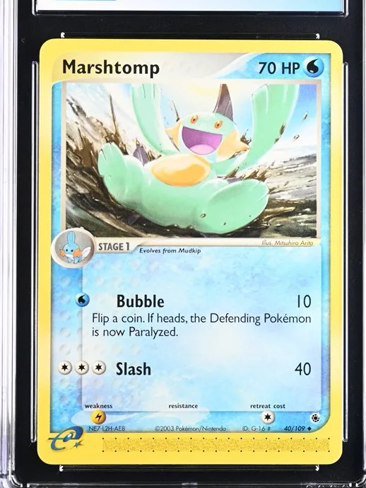 Marshtomp