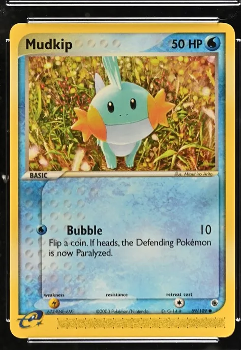 Mudkip
