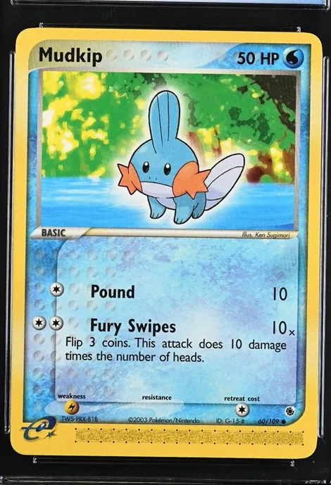Mudkip