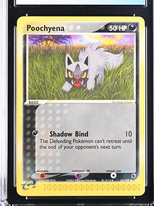 Poochyena
