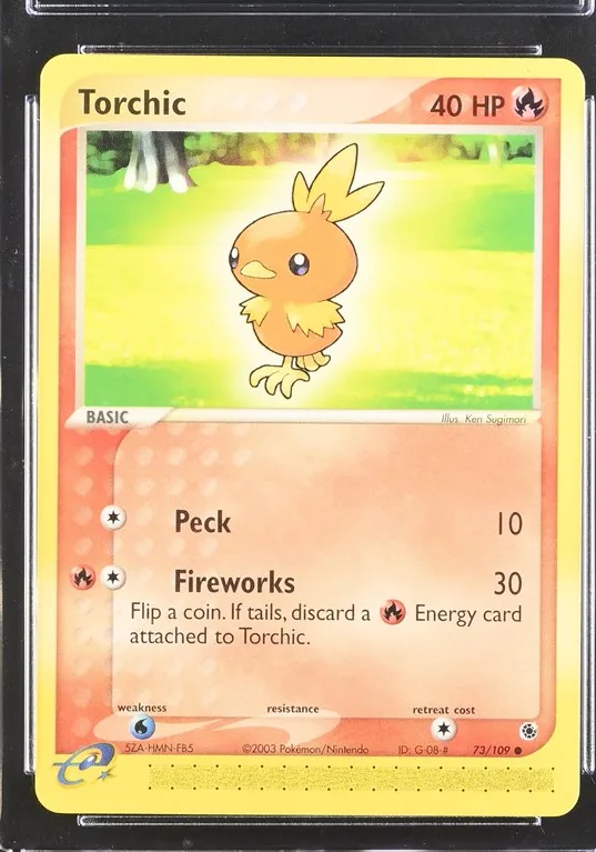 Torchic