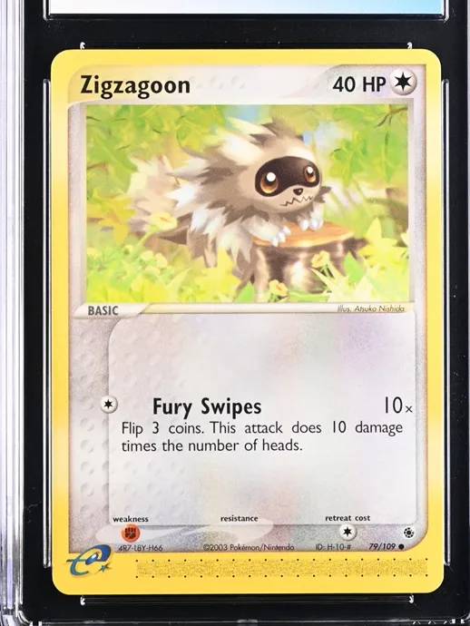 Zigzagoon