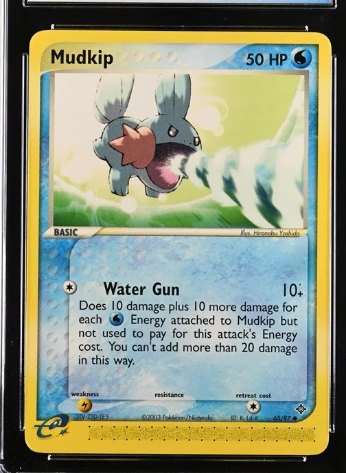 Mudkip