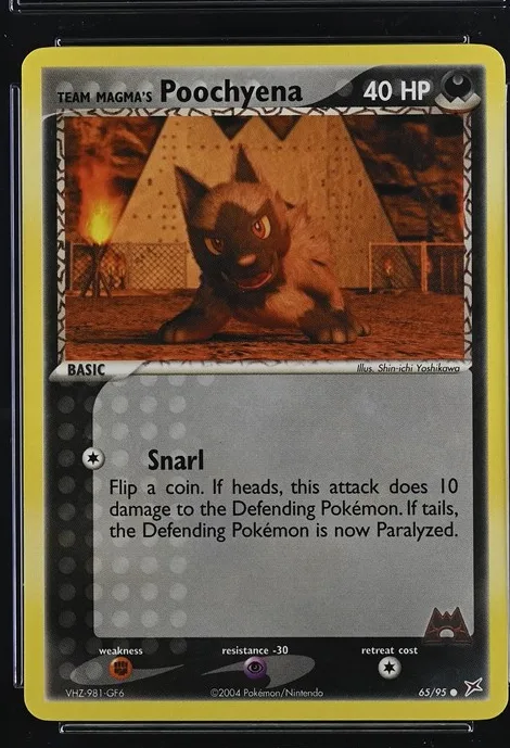 Team Magma's Poochyena