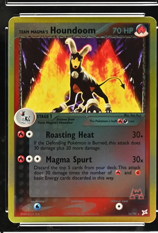 Team Magma's Houndoom
