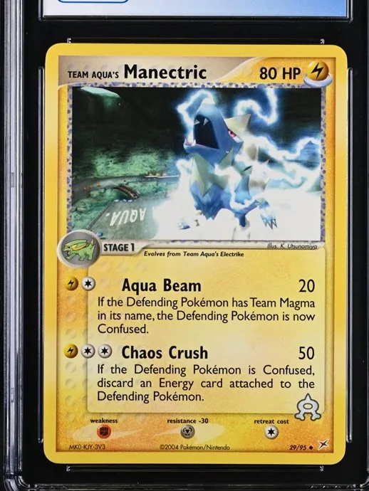 Team Aqua's Manectric