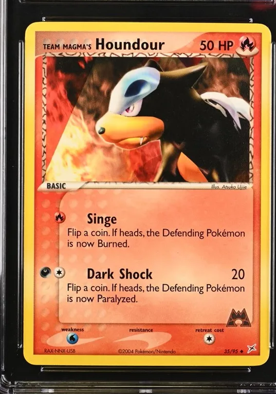 Team Magma's Houndour