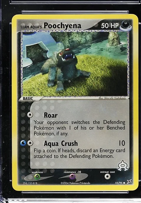 Team Aqua's Poochyena