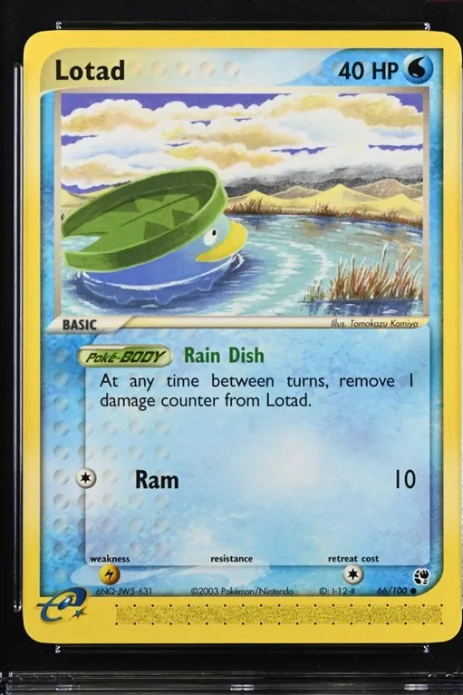 Lotad