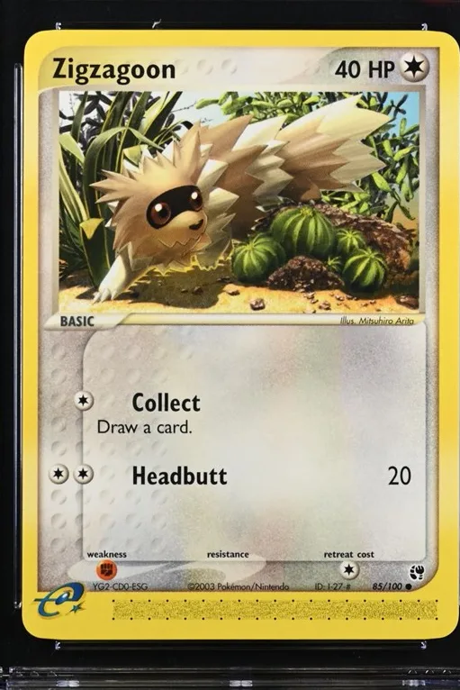 Zigzagoon Pokémon card front