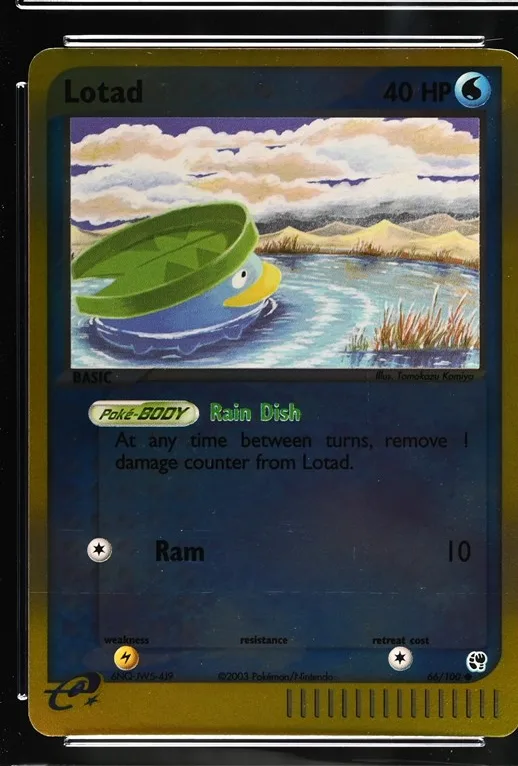 Lotad