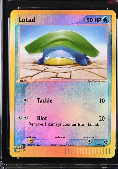 Lotad Pokémon card front