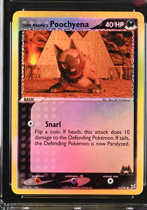 Team Magma's Poochyena