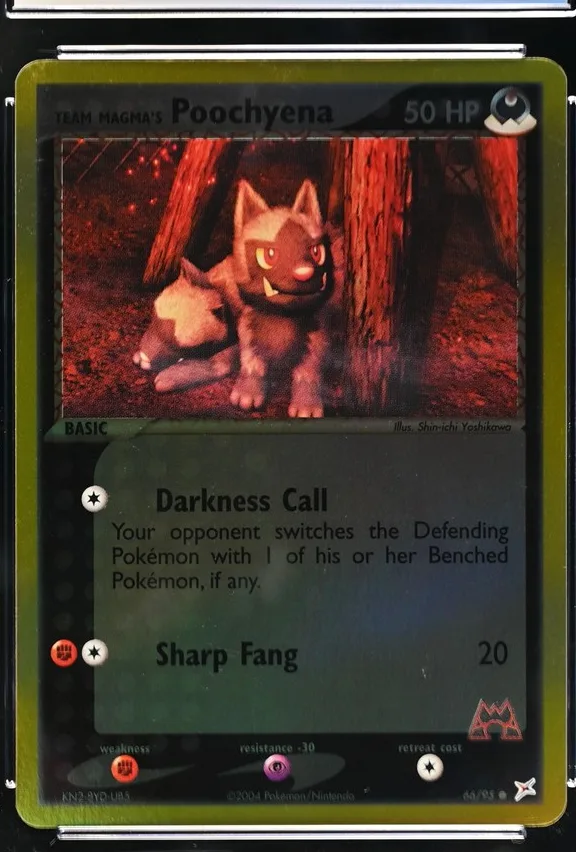 Team Magma's Poochyena