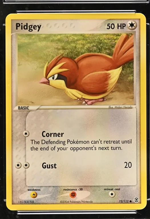 Pidgey