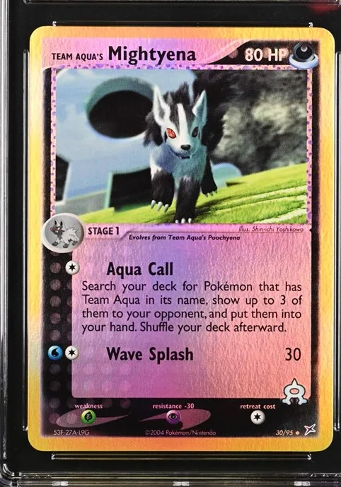 Team Aqua's Mightyena