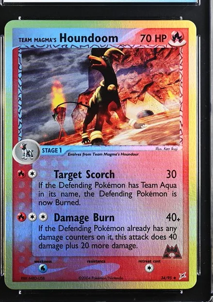 Team Magma's Houndoom