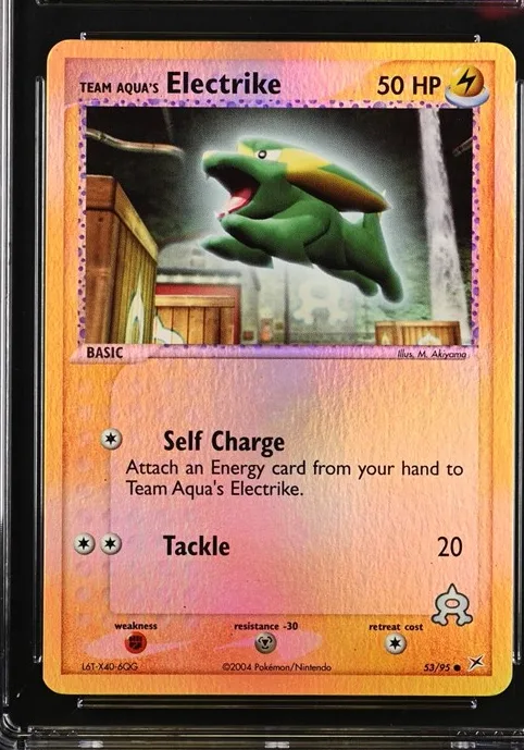 Team Aqua's Electrike