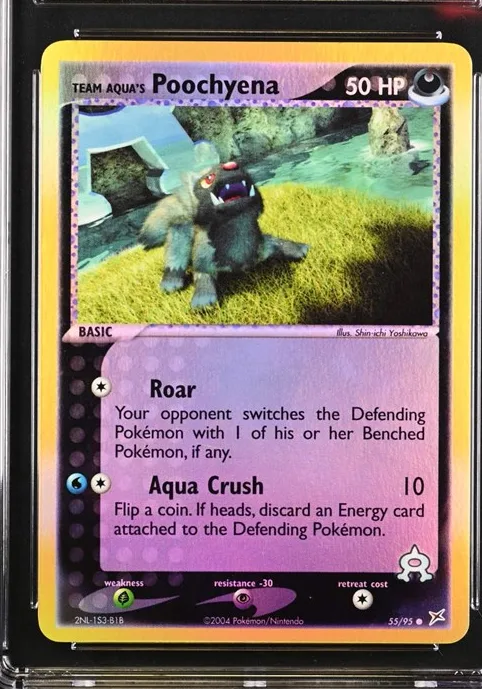 Team Aqua's Poochyena