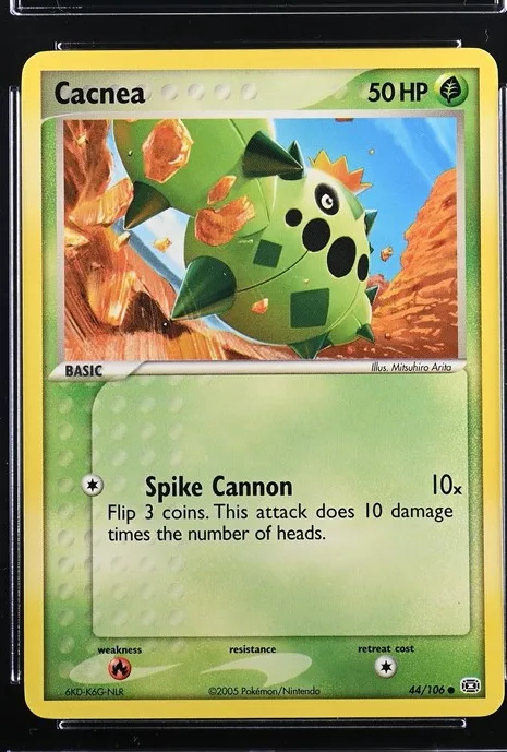Cacnea