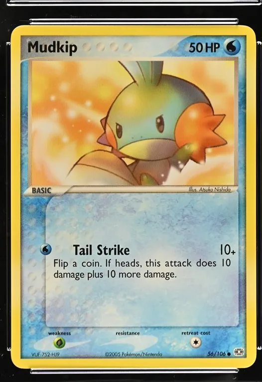 Mudkip