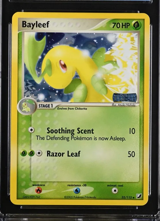 Bayleef