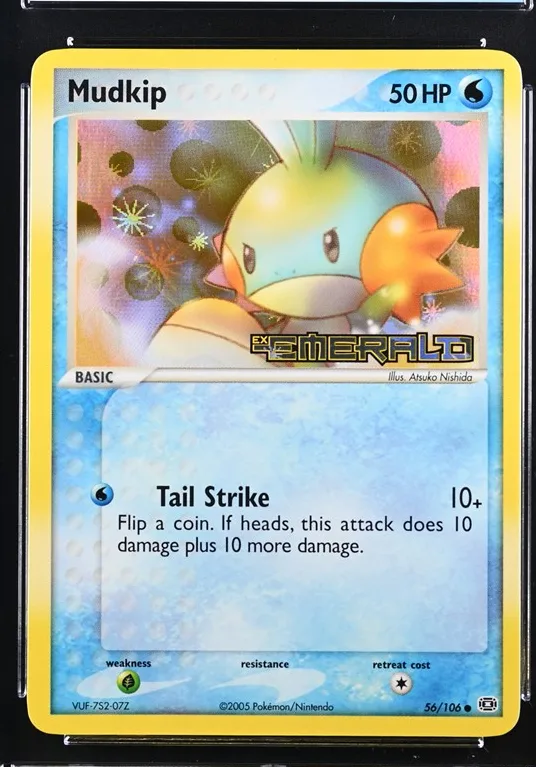 Mudkip