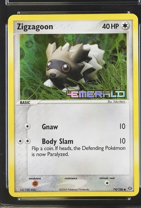 Zigzagoon