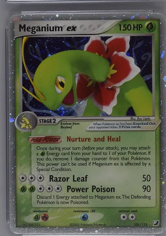 Meganium ex