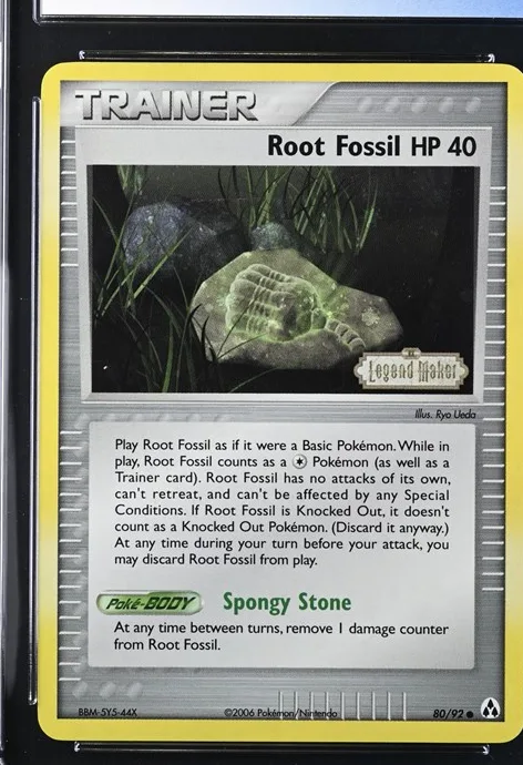 Root Fossil