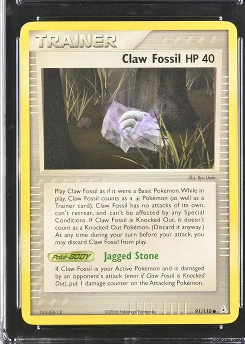 Claw Fossil