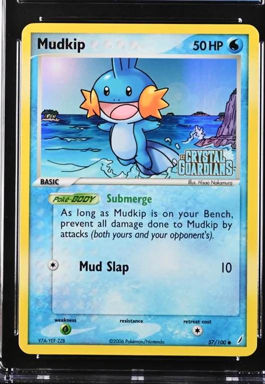 Mudkip