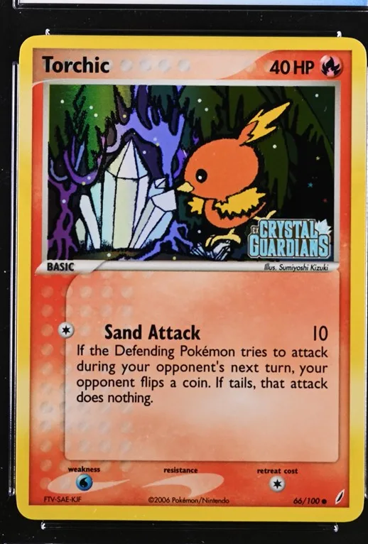 Torchic