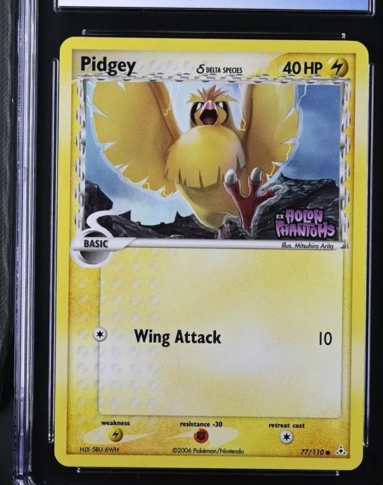 Pidgey δ