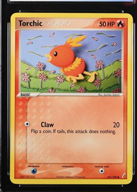 Torchic