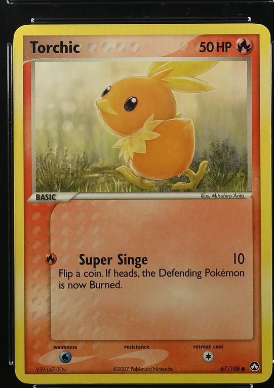 Torchic