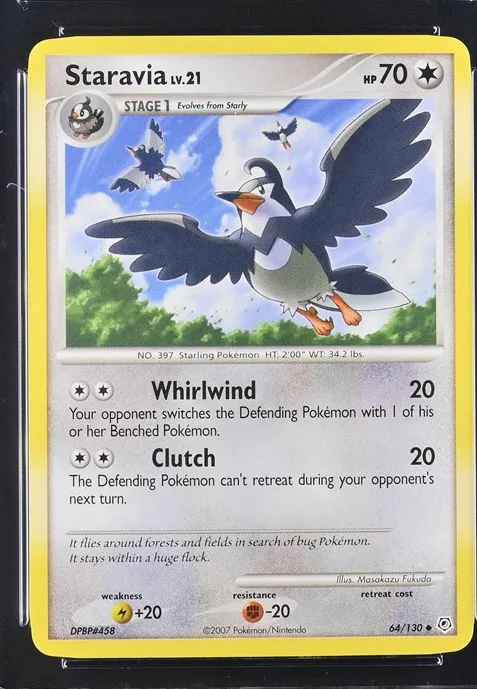 Staravia