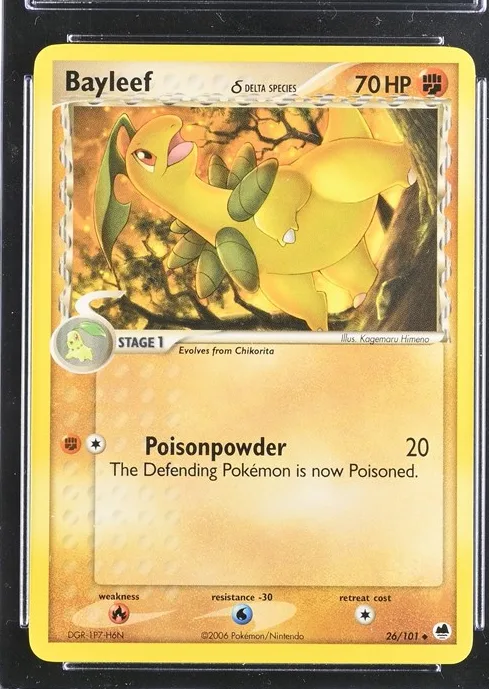 Bayleef δ