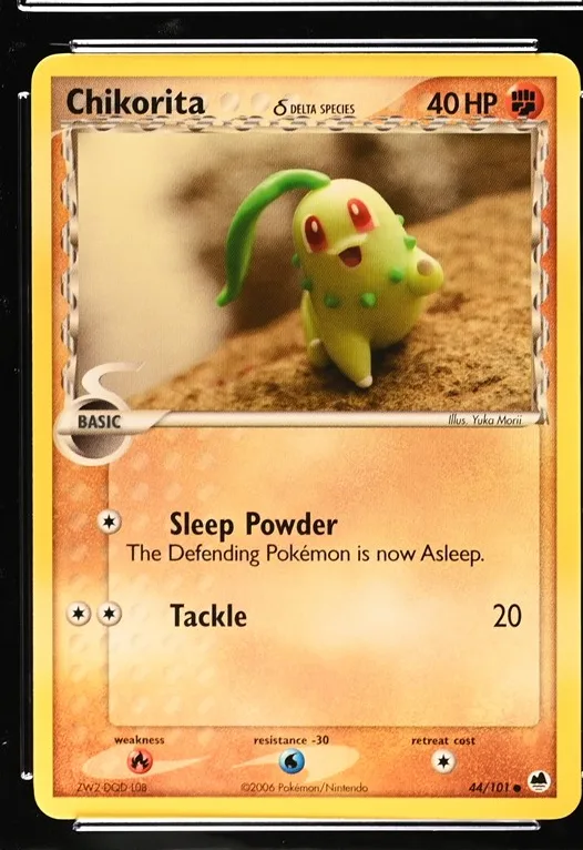 Chikorita δ