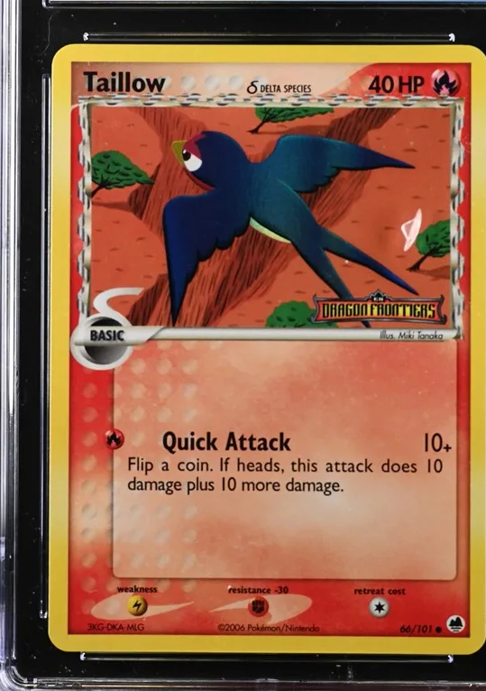 Taillow δ