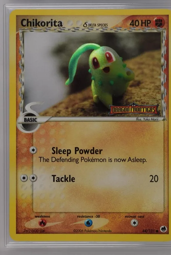 Chikorita δ