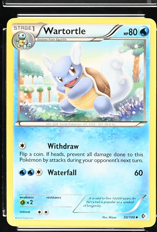Wartortle