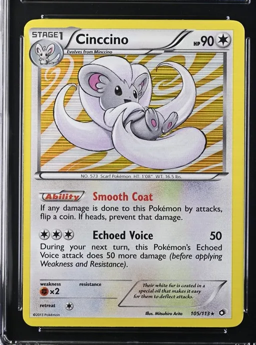 Cinccino