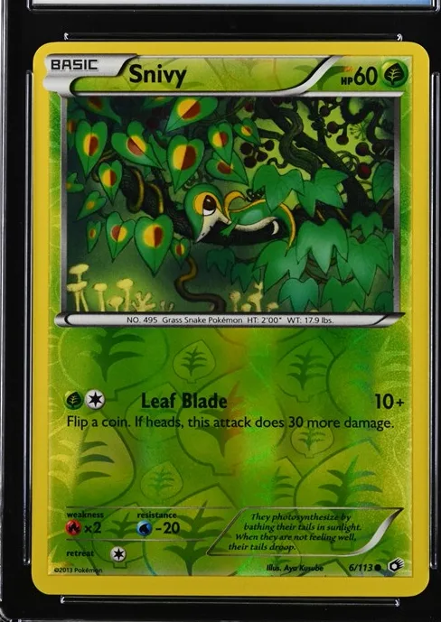 Snivy
