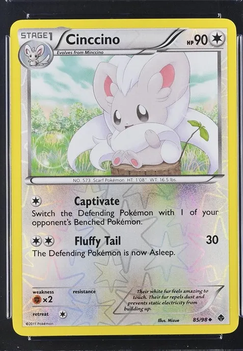 Cinccino