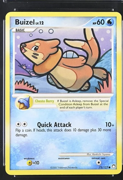 Buizel Pokémon card front