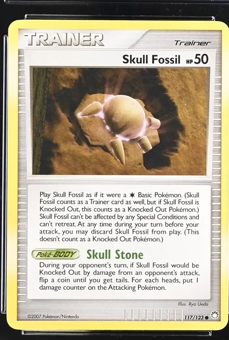 Skull Fossil