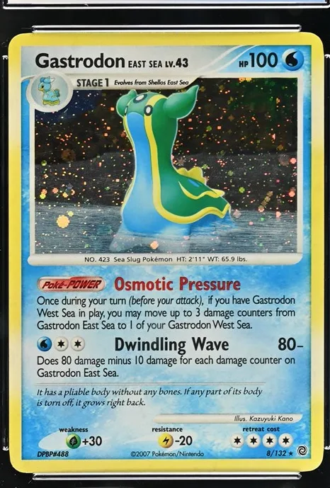 Gastrodon East Sea