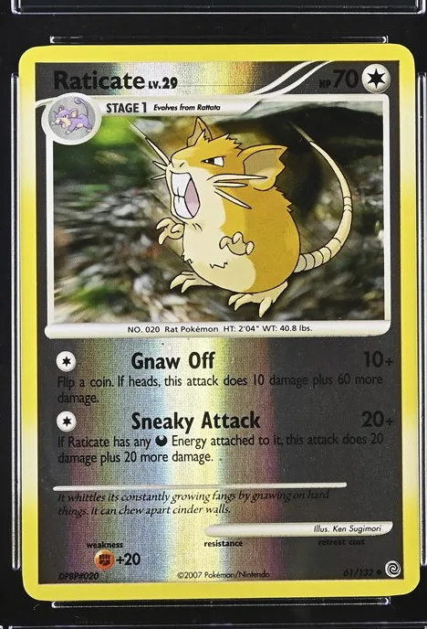 Raticate