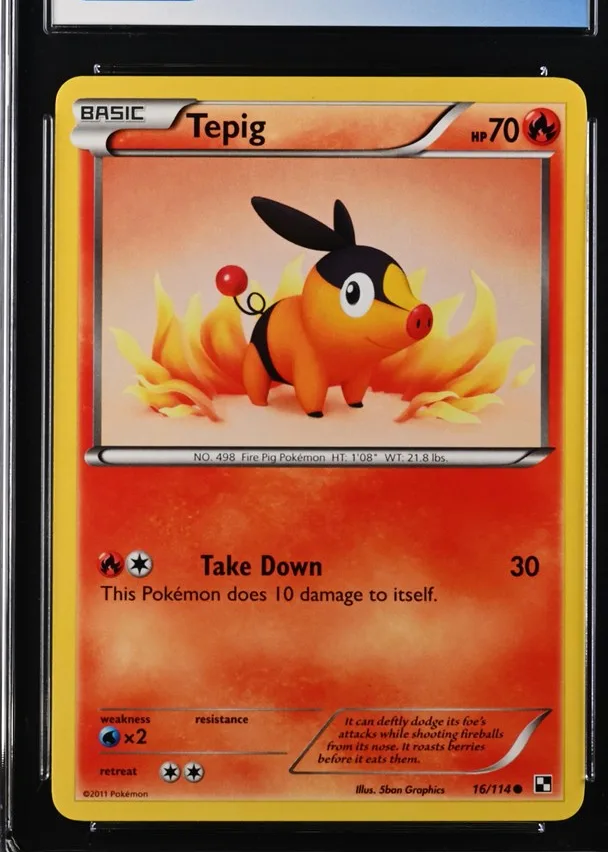 Tepig
